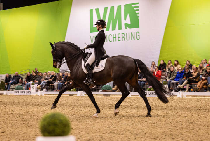 Nowag Auelnbrock Trab